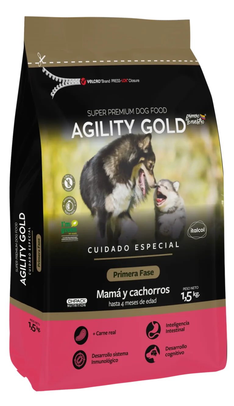 Agility Gold Cachorros Primera Fase