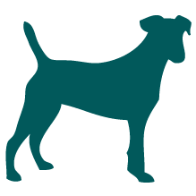Pequeño